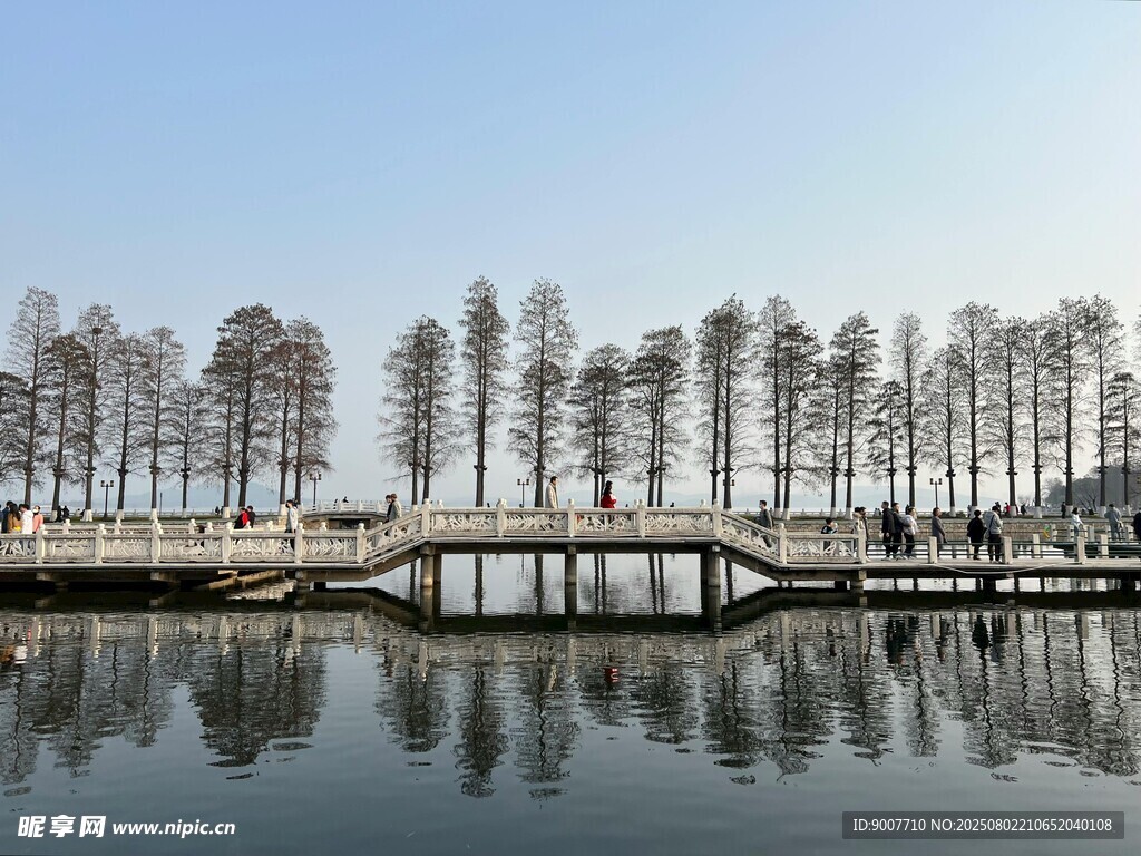 湖畔树木倒影宁静美景