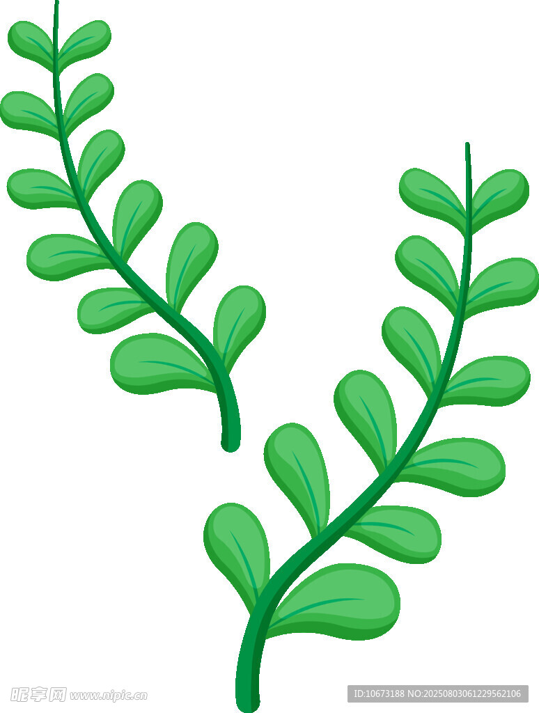 绿色植物枝叶插画