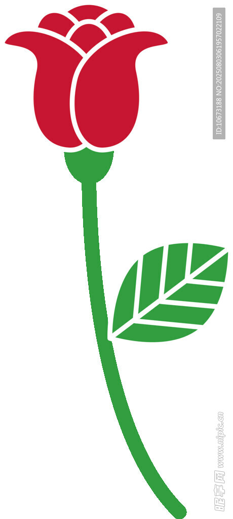 简约红玫瑰插画