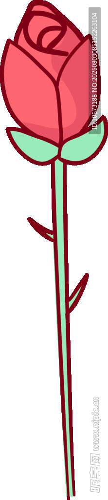 单支红玫瑰插画