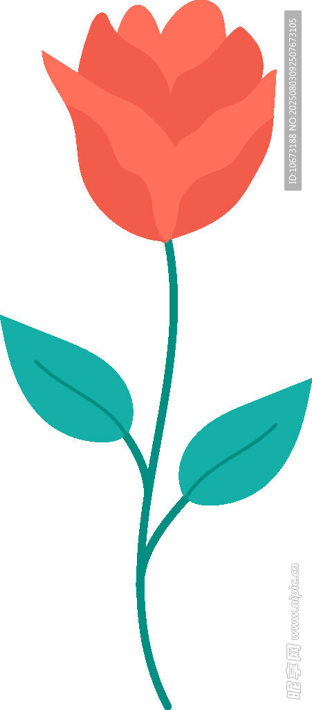 红色花朵插画