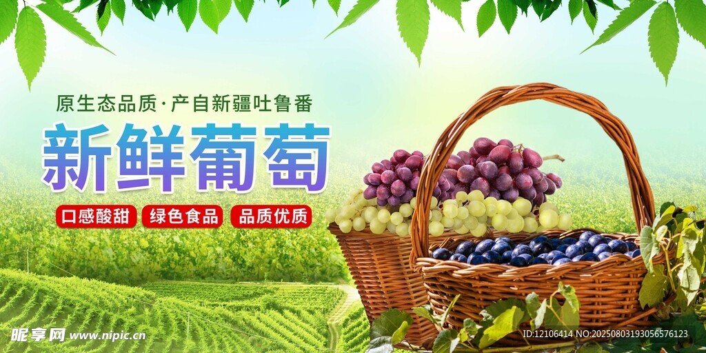 新鲜葡萄
