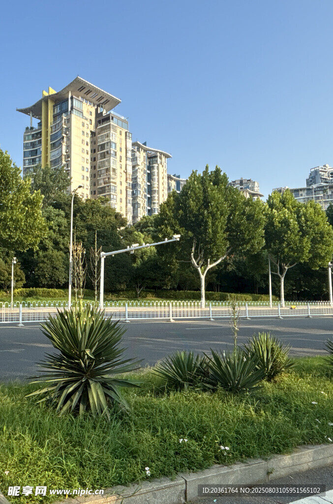城市道路旁的现代建筑景观