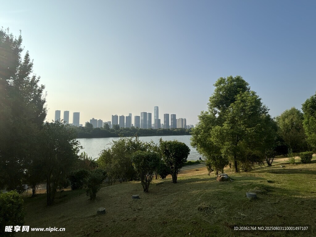 湖畔绿树映衬远处城市景
