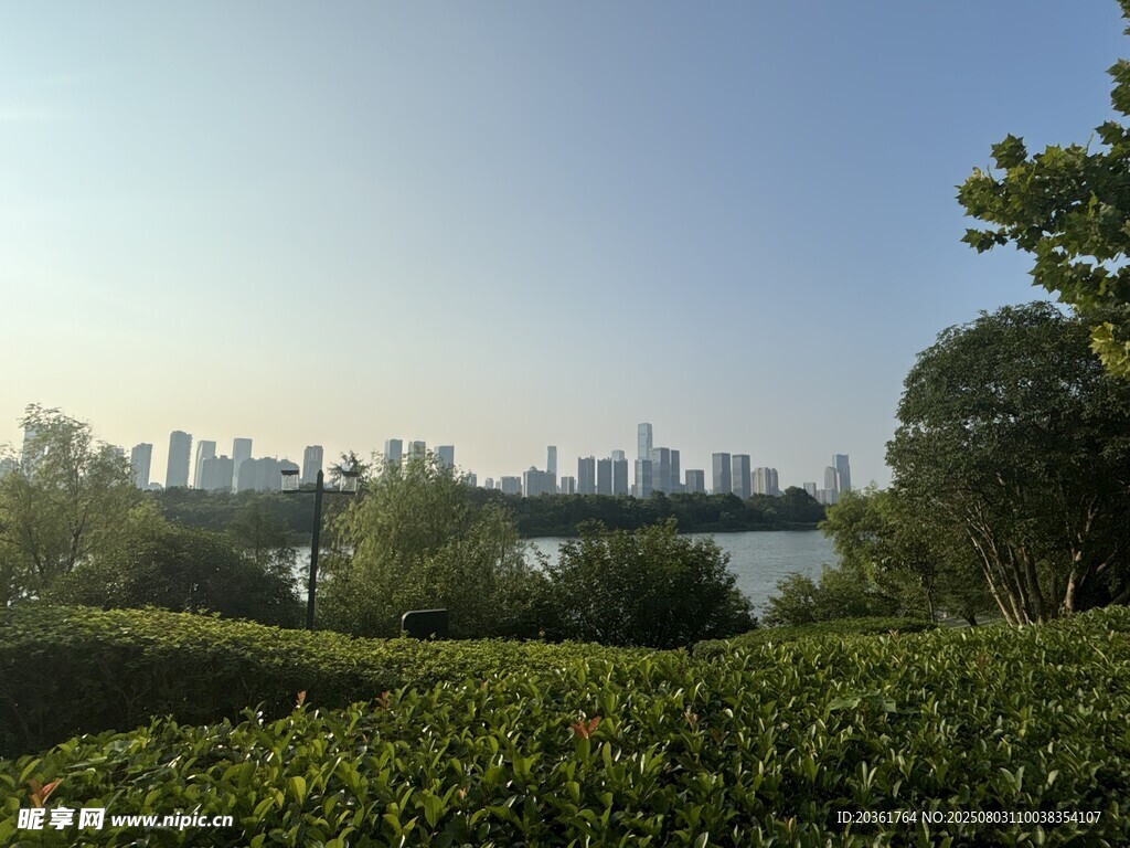 湖畔绿植映衬城市天际线