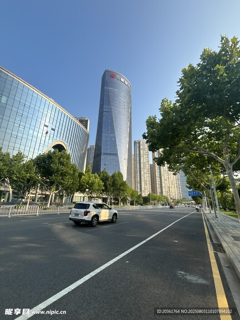 城市道路旁的现代高楼景观