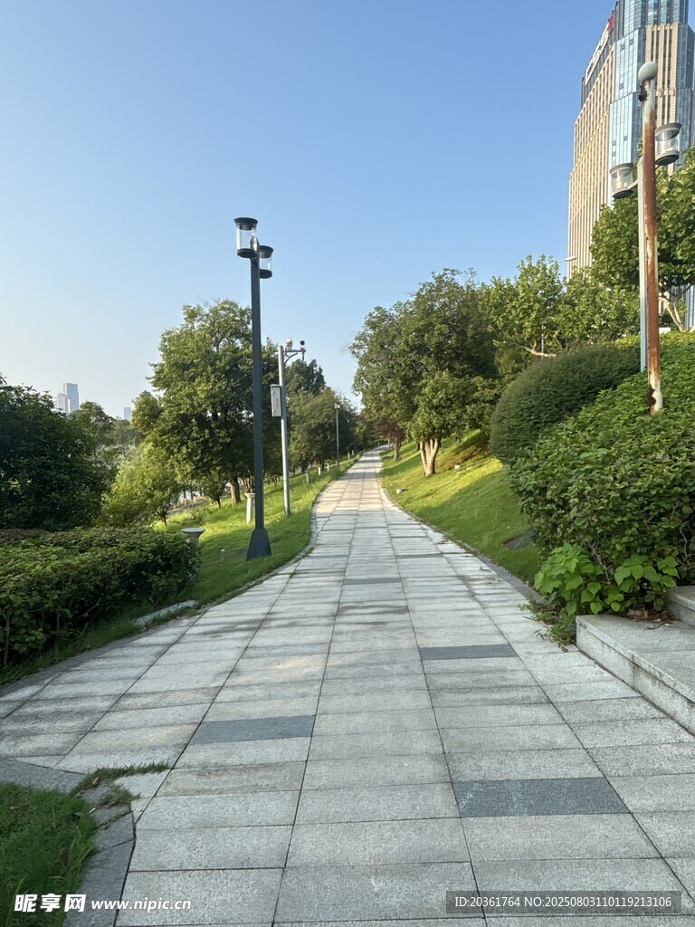 城市中宁静的石板林荫步道
