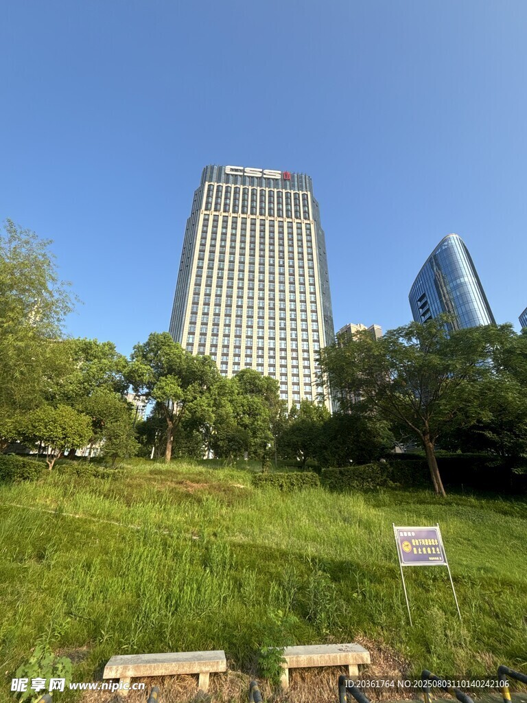城市中草地与高楼景观