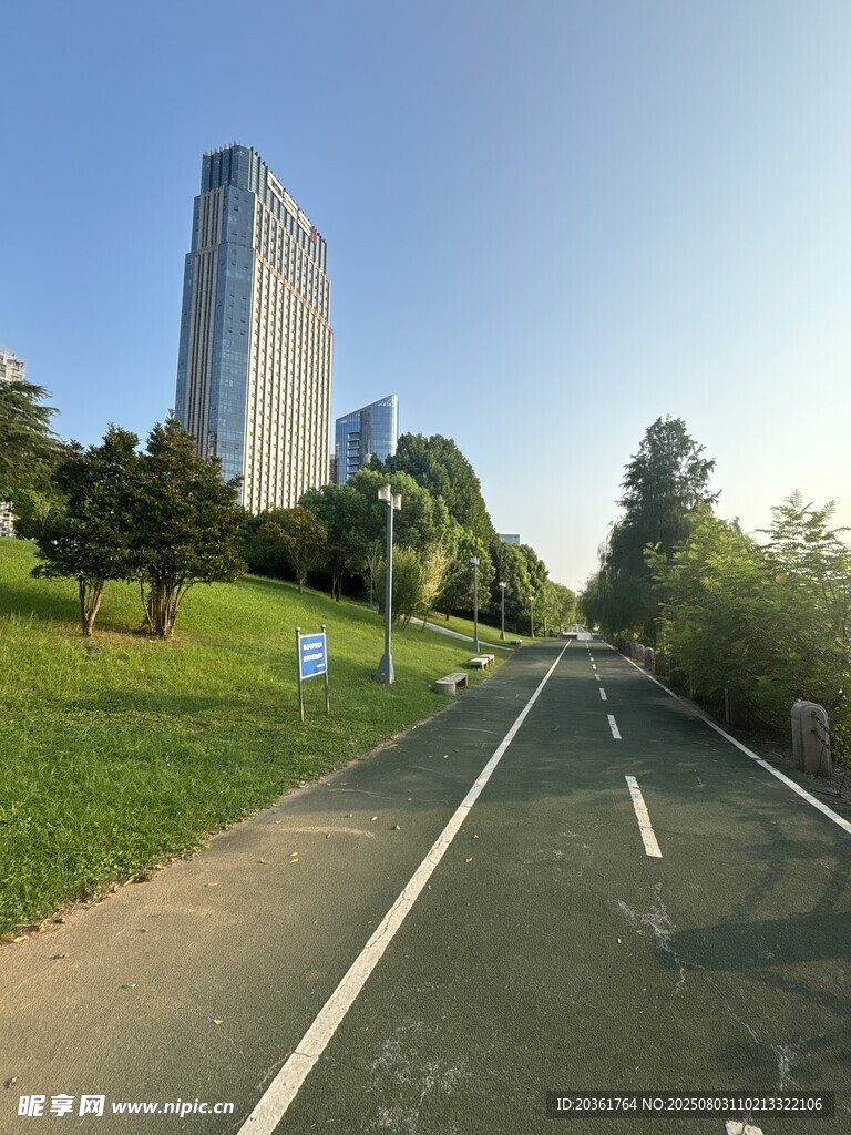 城市道路旁的高楼与绿地