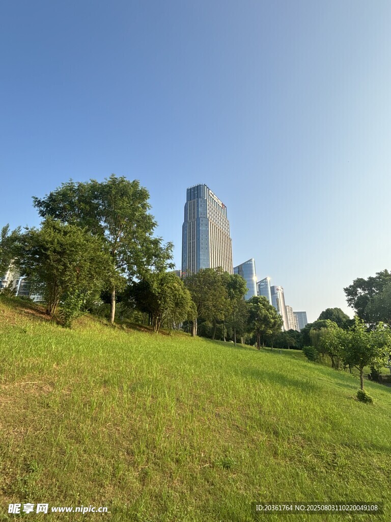城市绿地中的高楼景观
