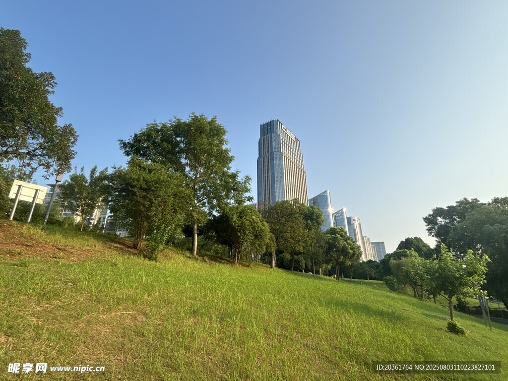 城市绿地中的高楼景观