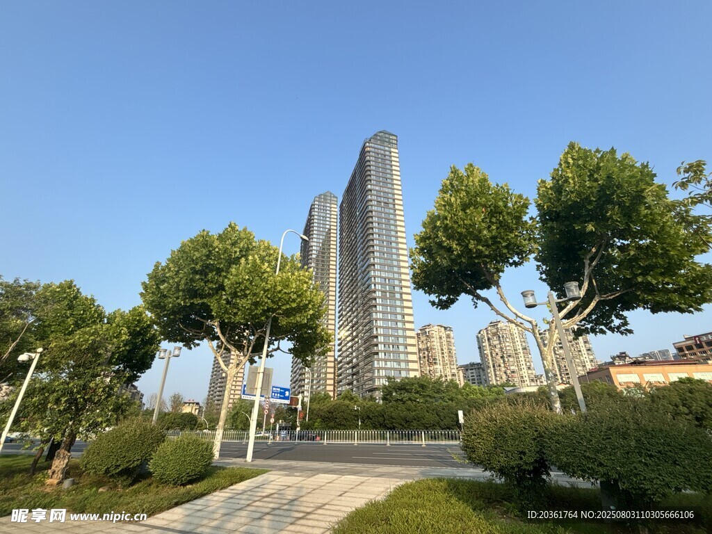 城市景观中的摩天大楼与绿植