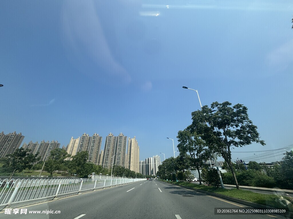 城市道路旁的绿树与高楼
