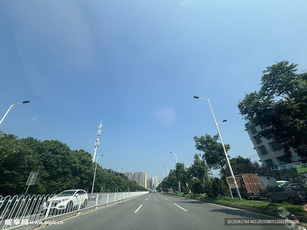 宽阔道路旁绿树成荫