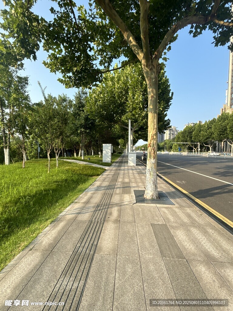 城市中整洁的林荫步道