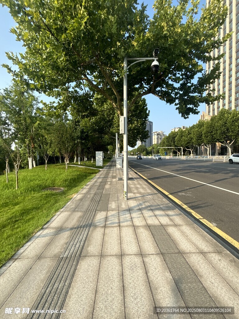 城市中整洁的林荫人行道