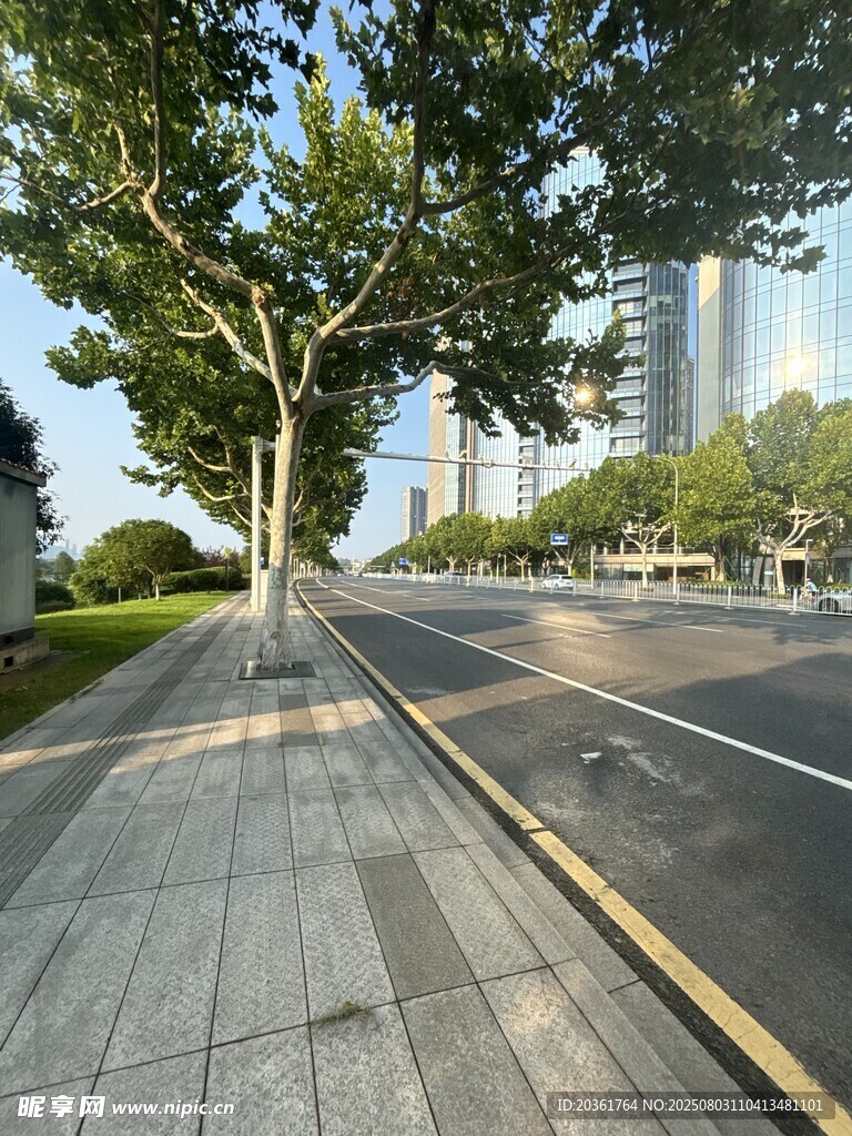 城市林荫街道景观