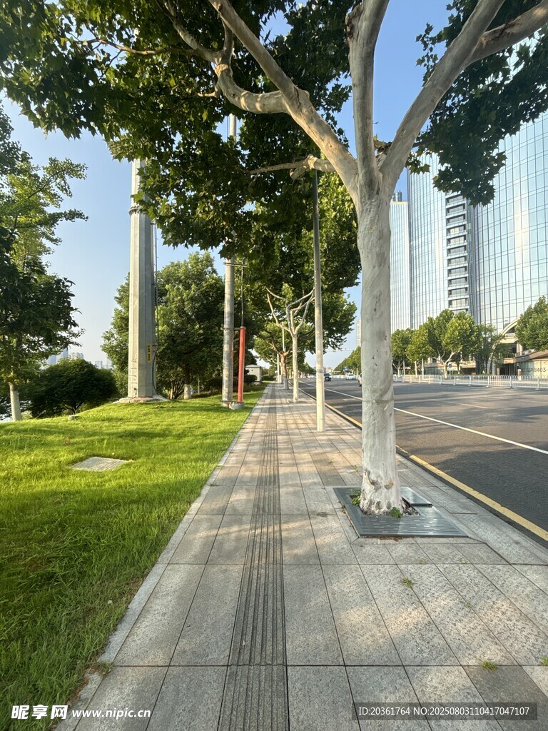城市林荫步道景观