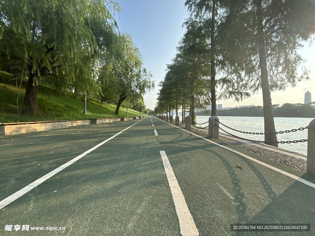 城市林荫下的宽阔道路