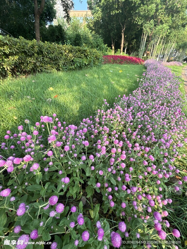 繁花小径