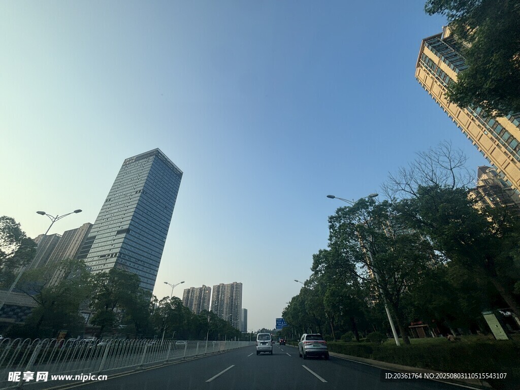 城市道路旁的高楼与绿树