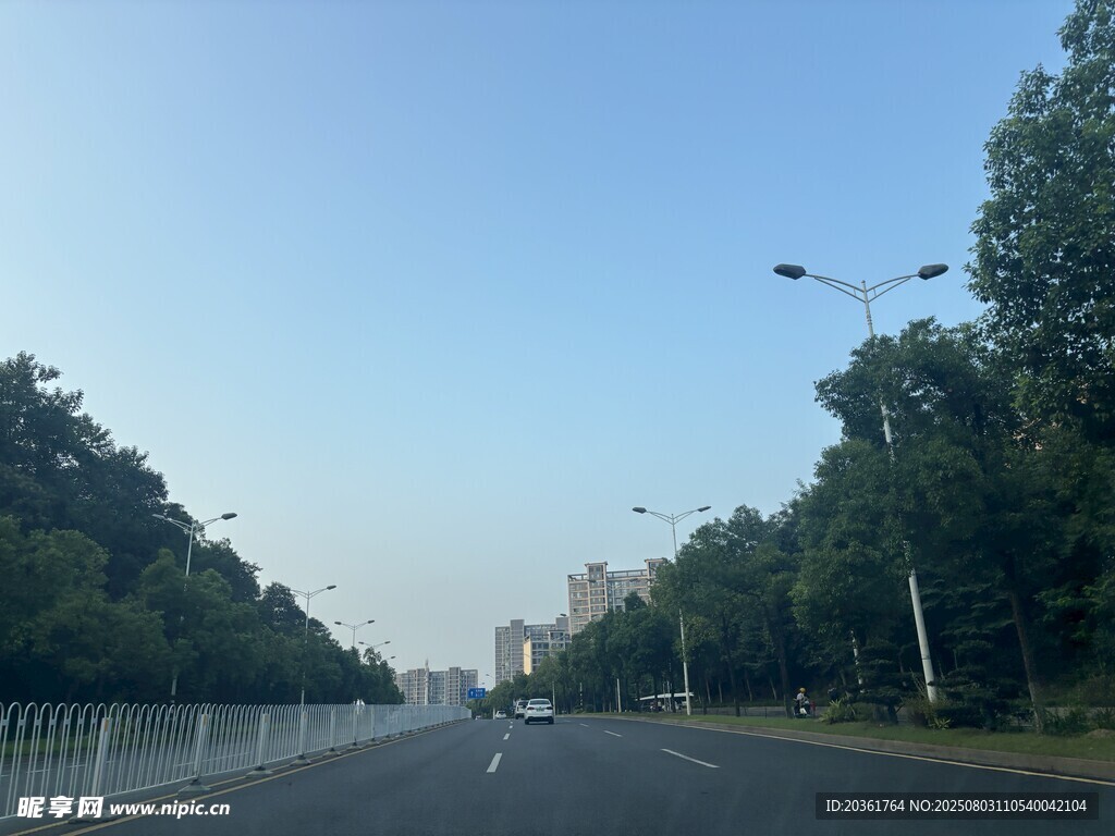 宽阔公路旁绿树成荫