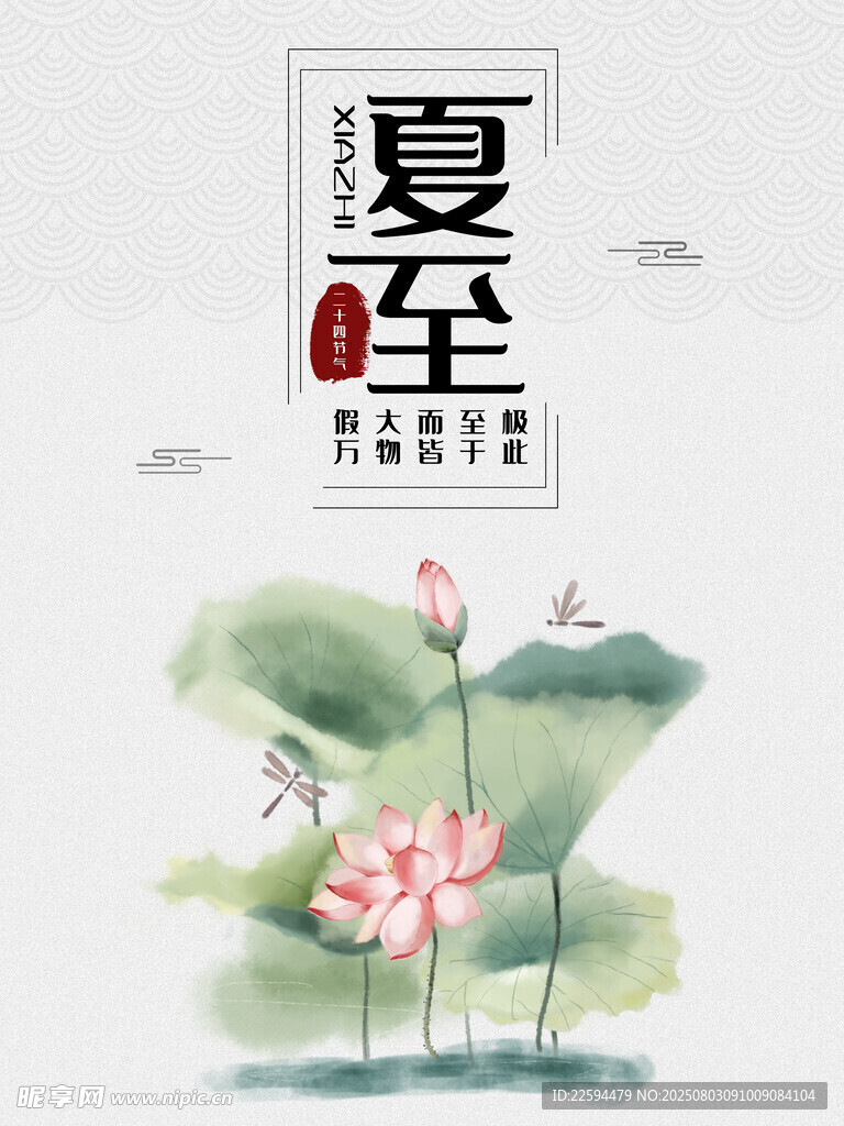 夏至时节荷花图