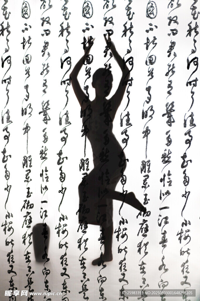 舞动书法