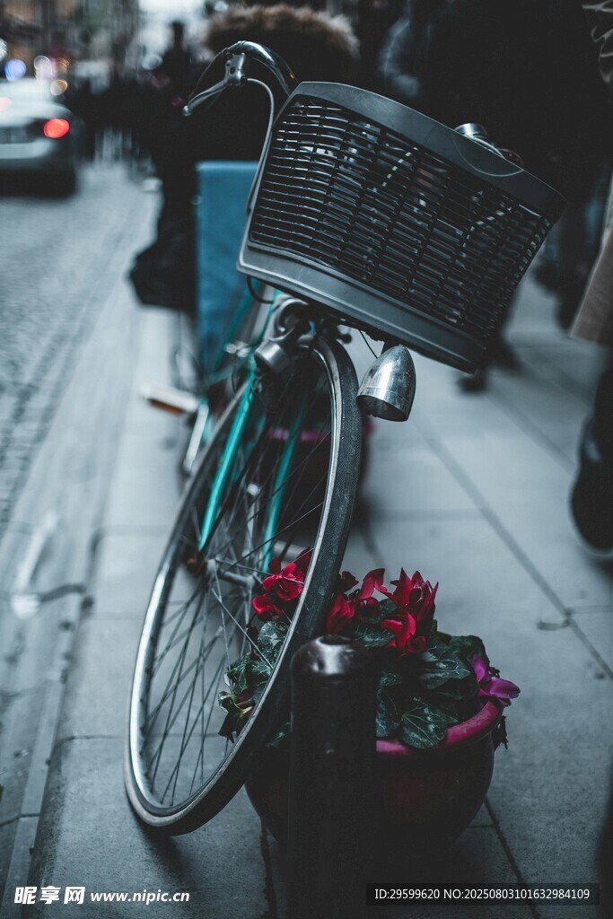 街边复古自行车与鲜花