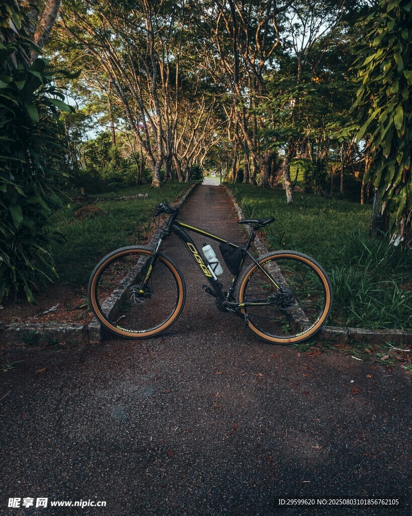林间小道上的自行车