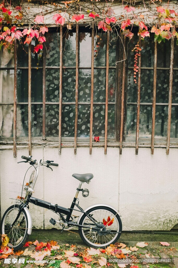 秋日墙边停靠的复古自行车