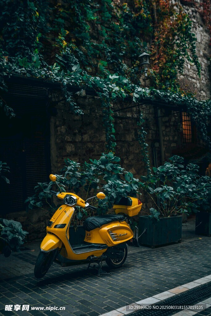 黄色摩托车停靠绿植墙边