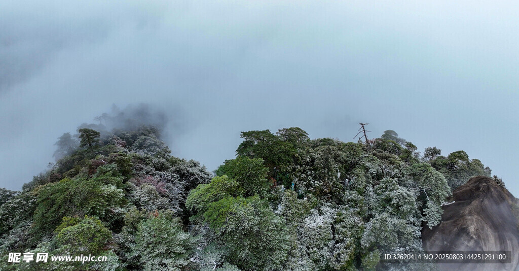 云雾缭绕的葱郁山峰