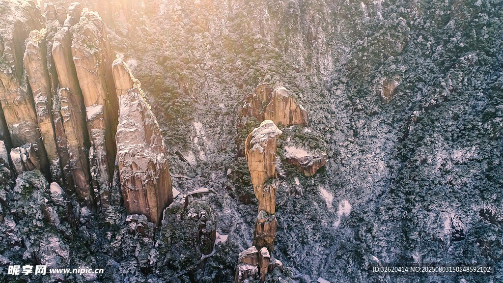 冬日雪林 阳光洒落美景