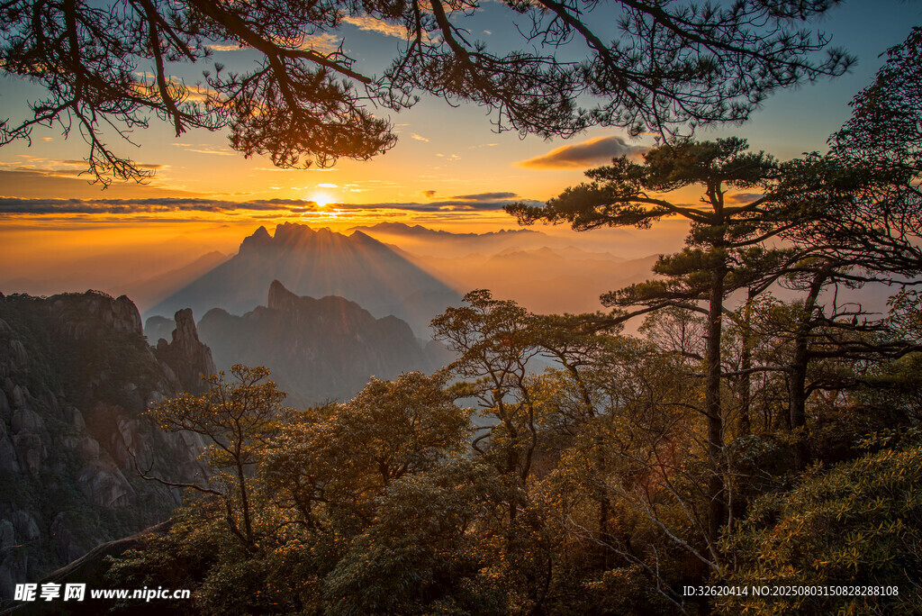 黄山日出山林美景