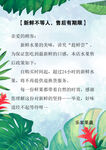 森林寄语 倾听自然的智慧