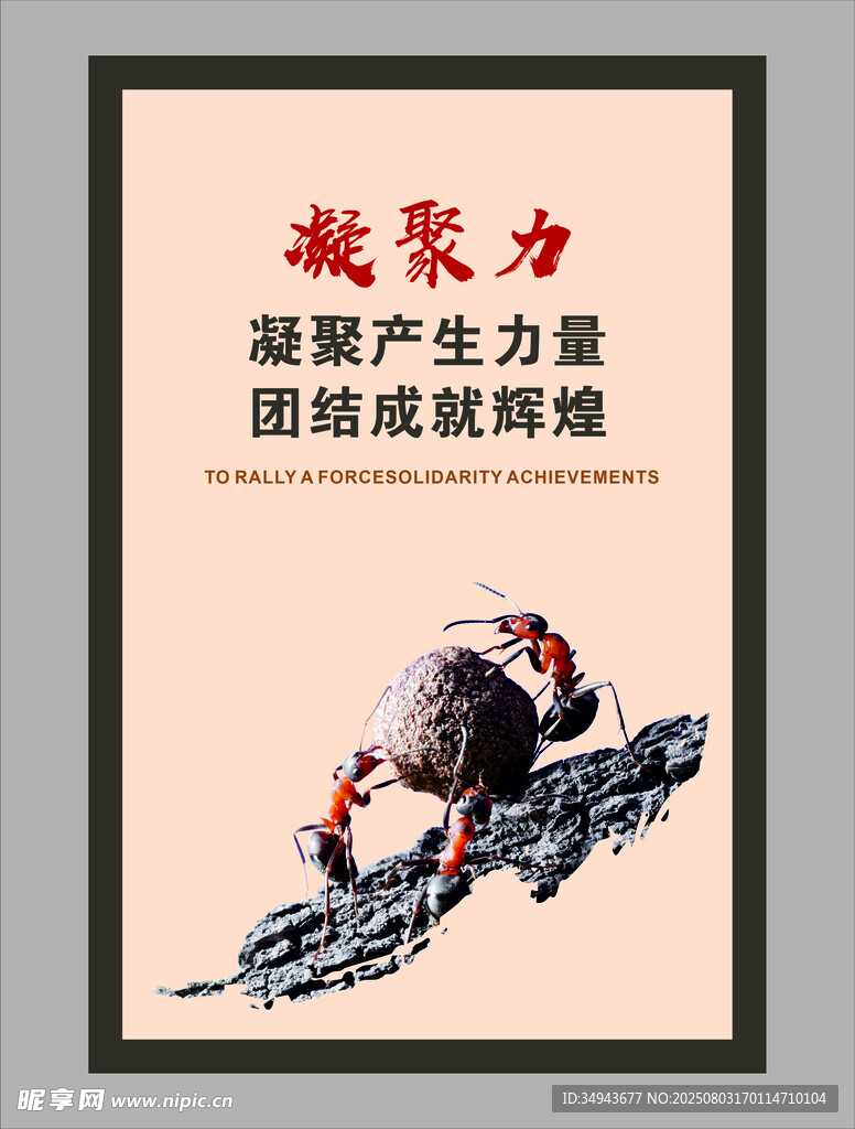 凝聚力量铸就科技辉煌