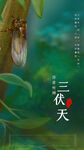 三伏天