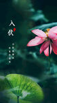 入伏海报