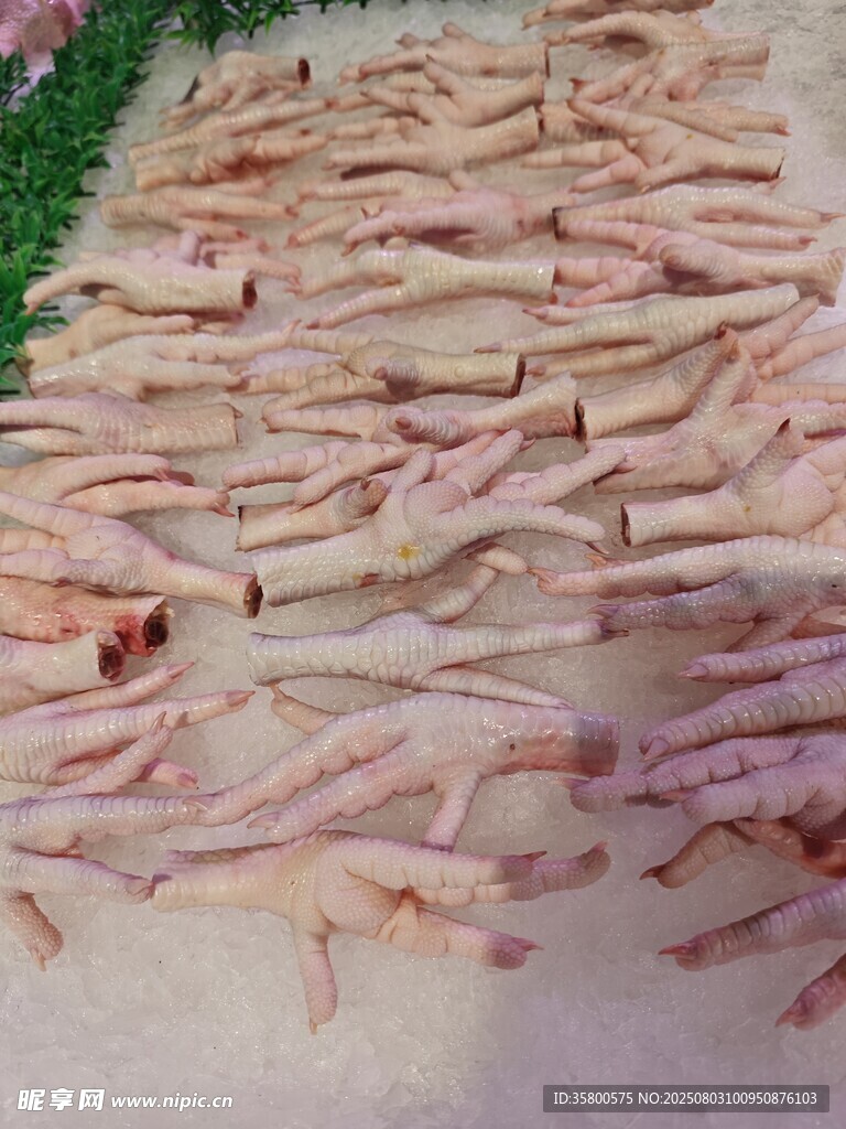 新鲜鸡爪整齐摆放