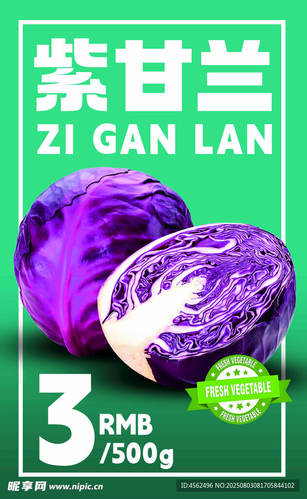 紫甘蓝3斤新鲜蔬菜