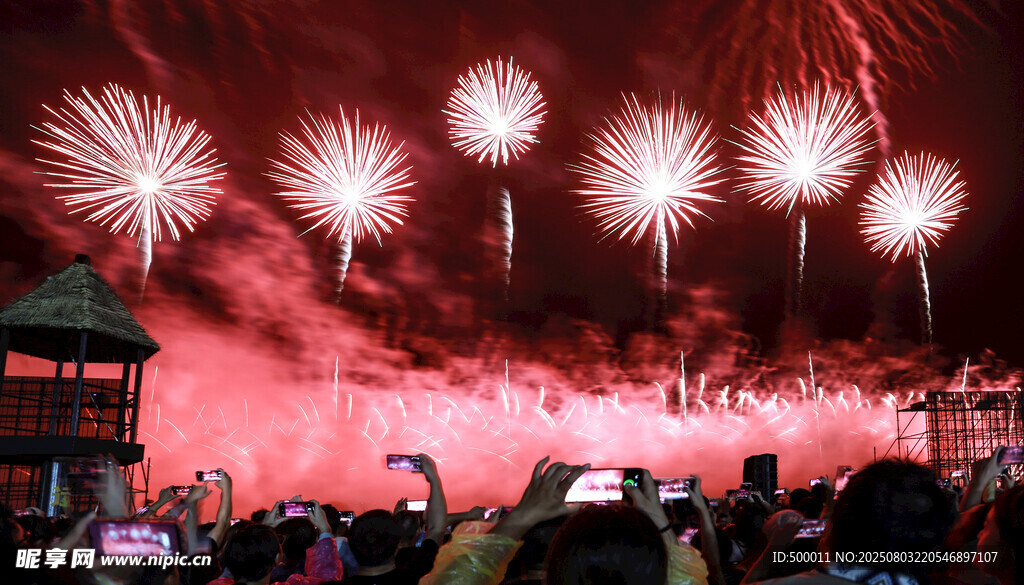 夜空中绚烂绽放的美丽烟花