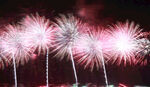 绚丽烟花绽放夜空