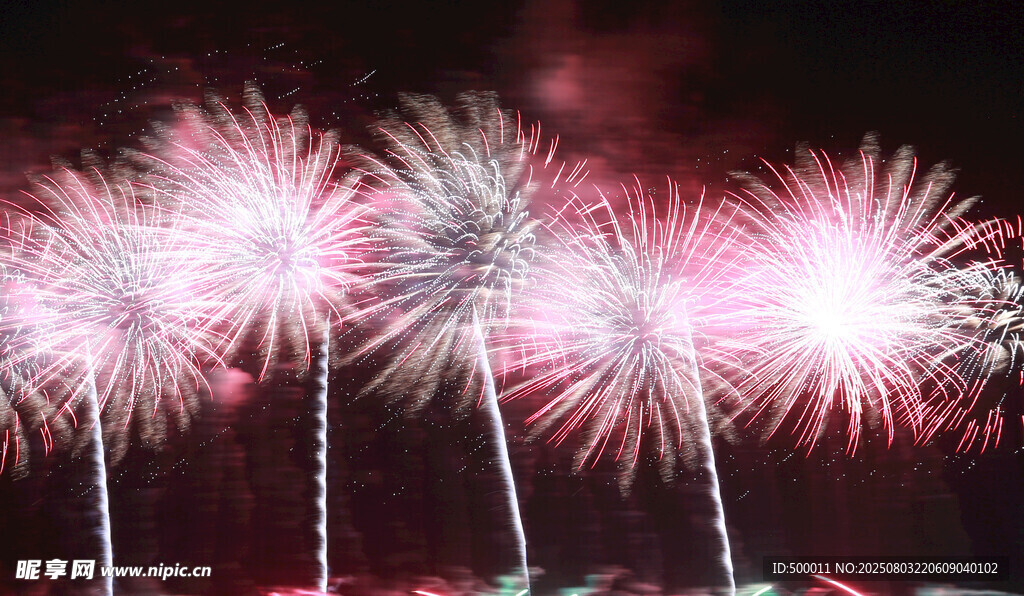 绚丽烟花绽放夜空