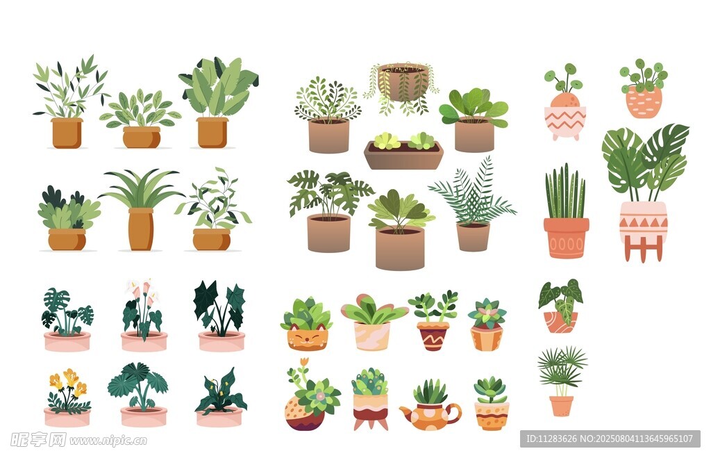 多样盆栽植物插画集合