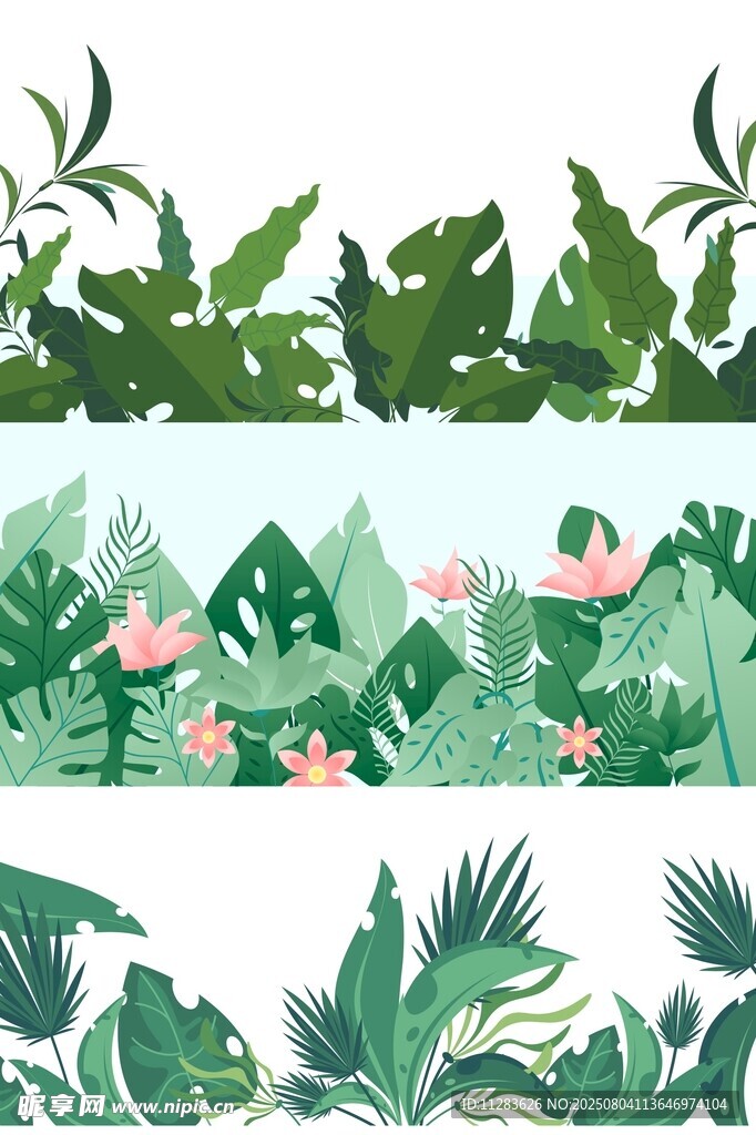 热带植物景观插画