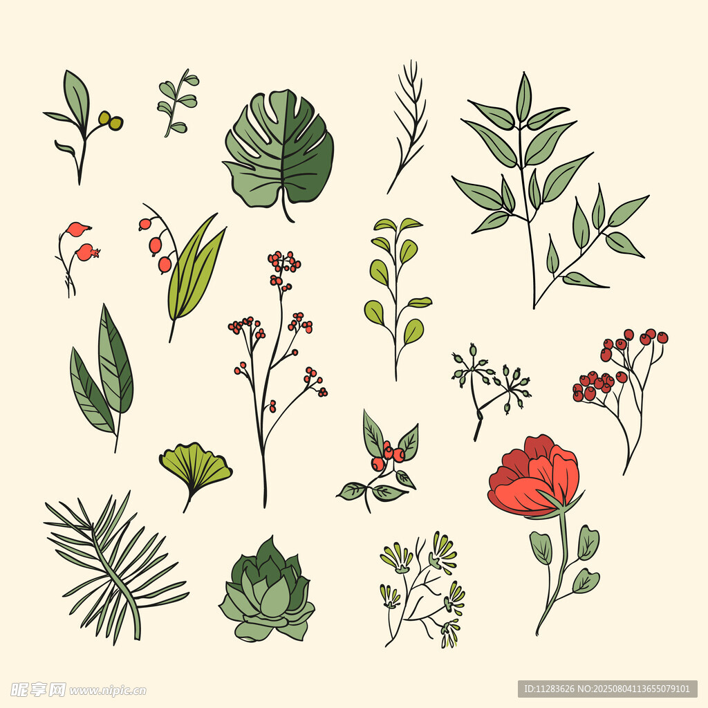 手绘植物花卉插画素材