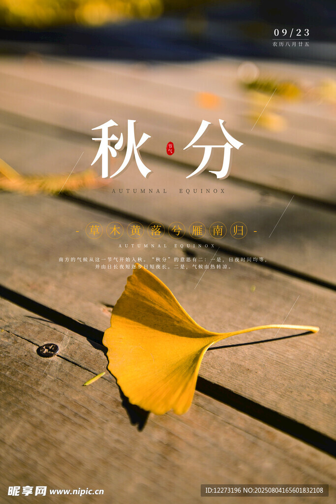 秋分时节银杏叶飘落