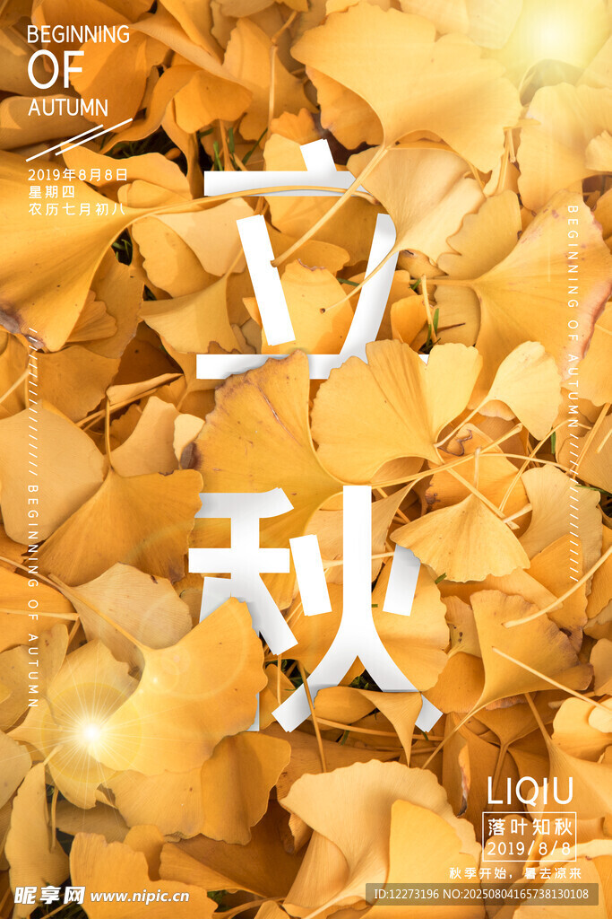 立秋时节金黄落叶美景
