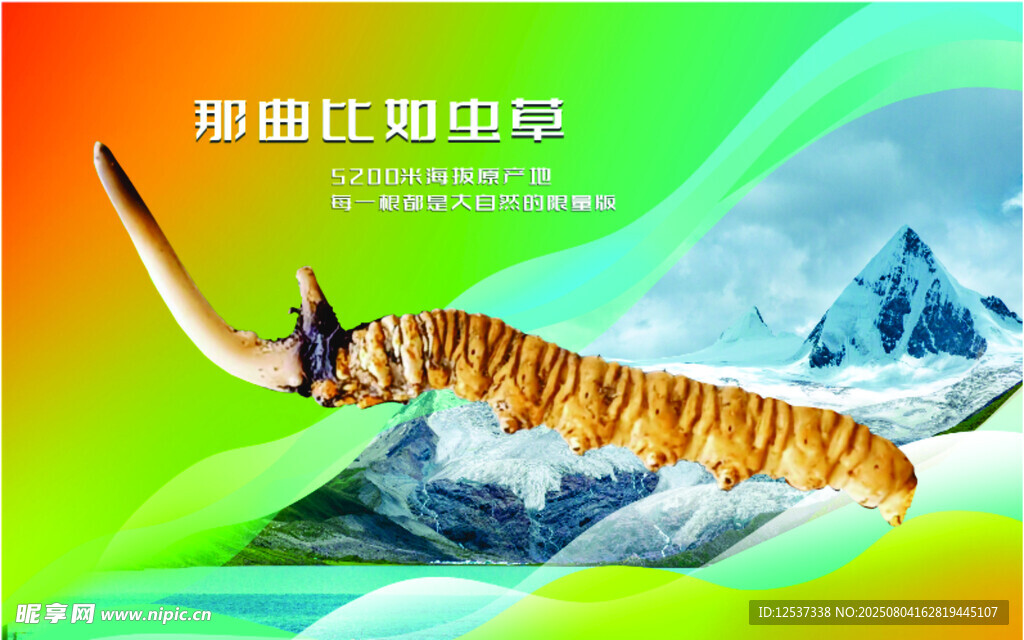 奇幻场景中的虫草与雪山